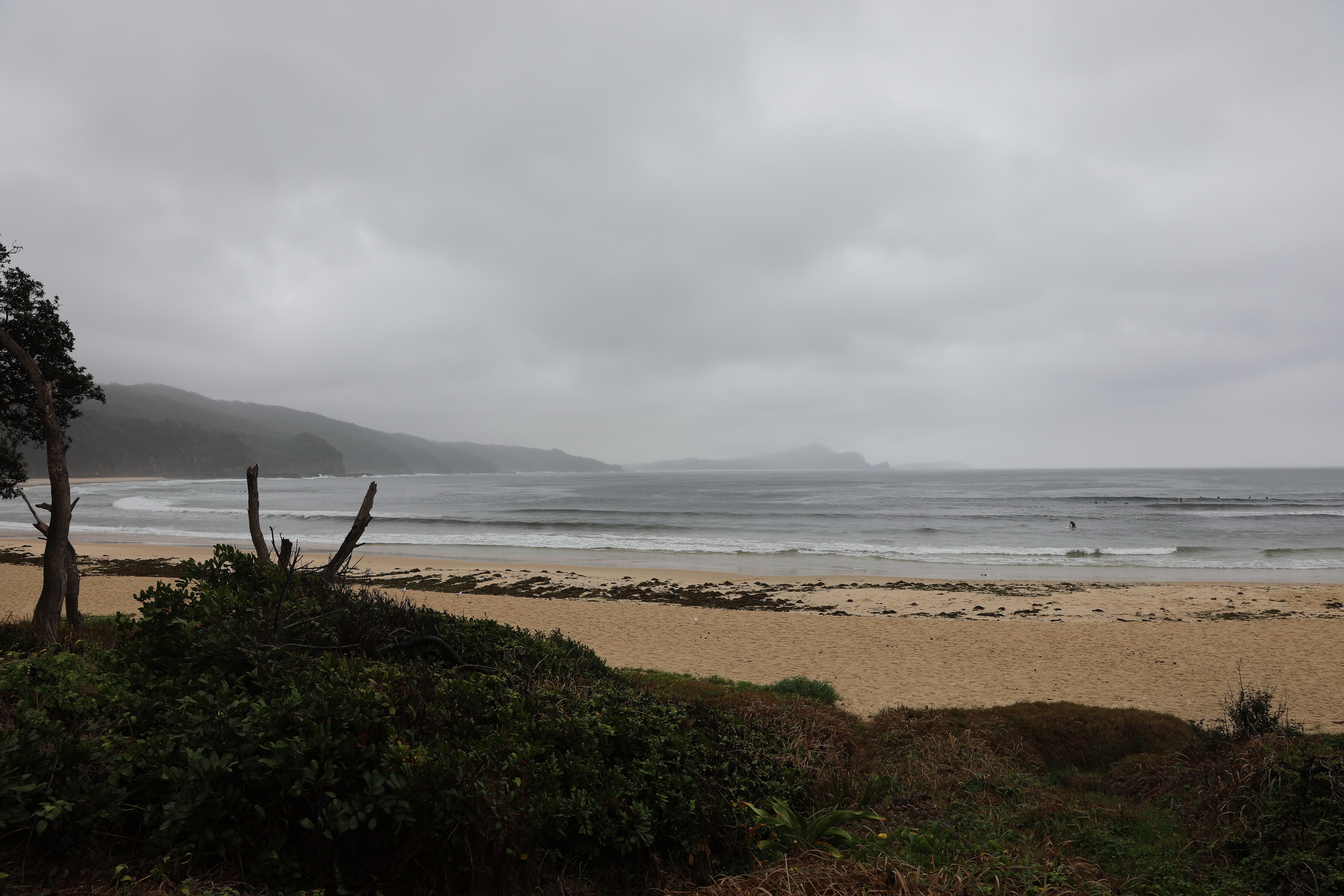 2020 01 11 13 29 14 Canon EOS 5D Mark IV 0001